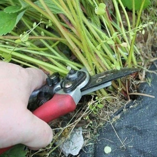 Последние изменения в городе
 Видное