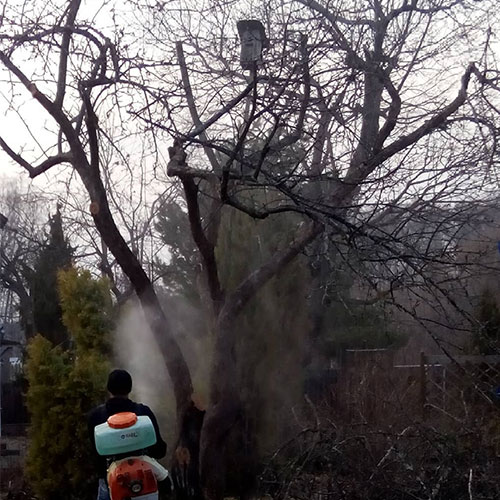 Что нового в городе
 Владивосток?