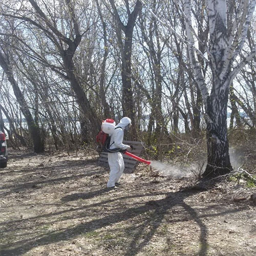 Новые товары и услуги в районе метро
 Минская