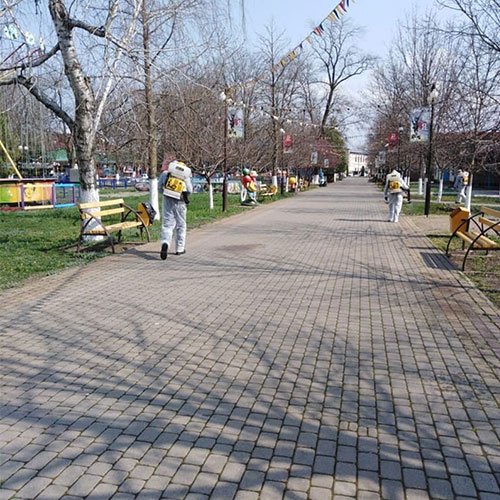 Новые товары и услуги в городе
 Велиж