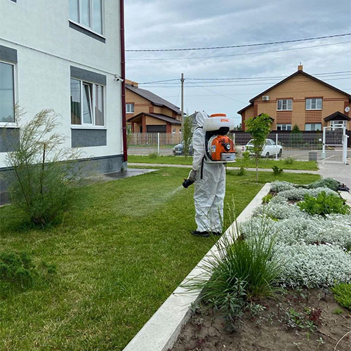 Обновление товаров и услуг в районе
 Гатчина-С