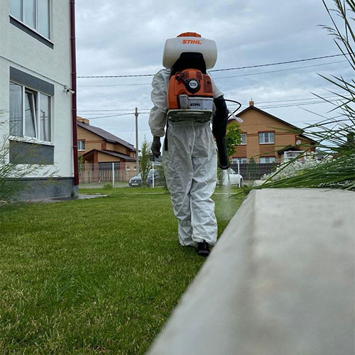 Последние изменения в городе
 Тырныауз