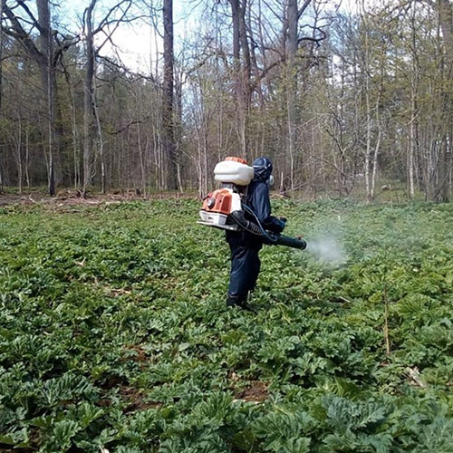 Последние изменения в районе
 Белоостров