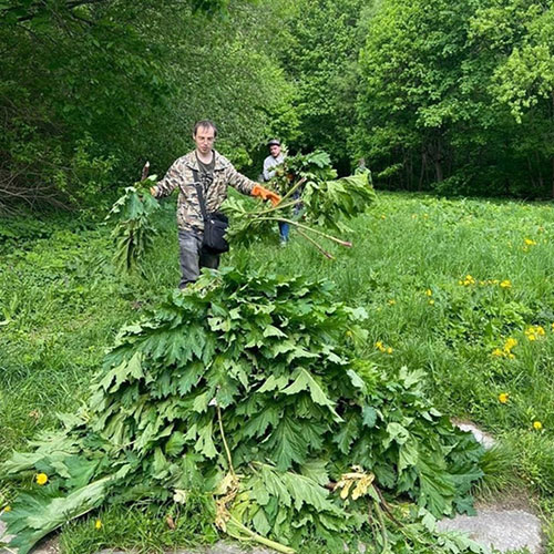 Обновление товаров и услуг в городе
 Мензелинск