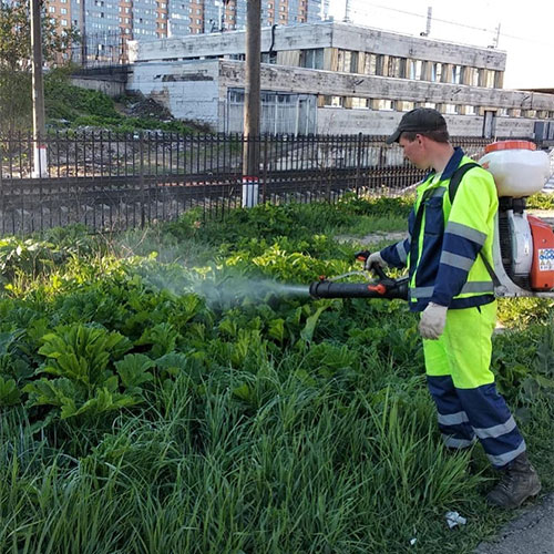 Что нового в городе
 Кукмор?