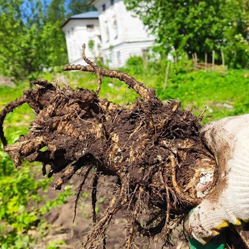 Последние изменения в районе метро
 Озёрная