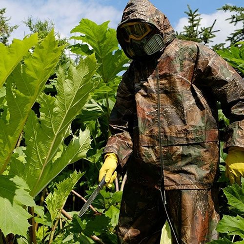 Новые товары и услуги в городе
 Кирсанов