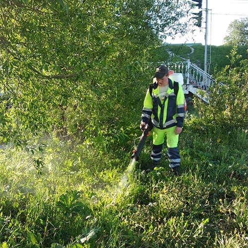 Обновление товаров и услуг в городе
 Пущино