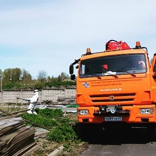 Что нового в городе
 Спасск?